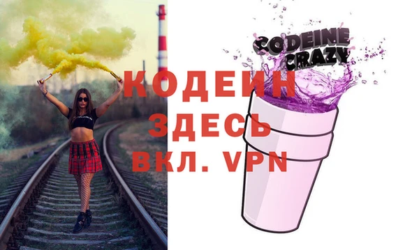 крисы Бородино
